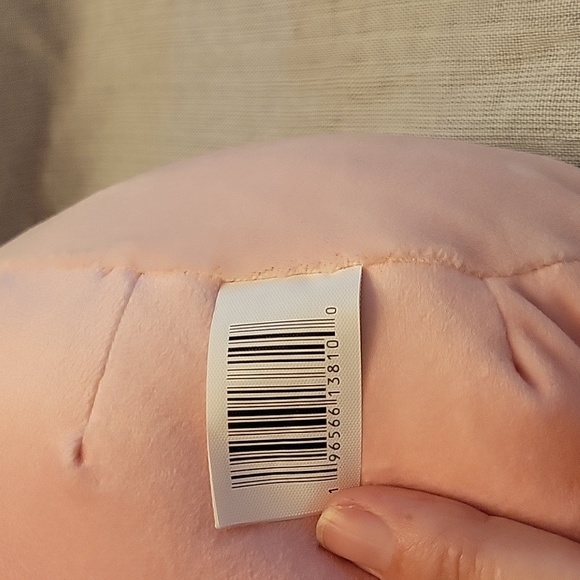 Eiko & Cinnamon Squishmallo - Picture 11 of 13